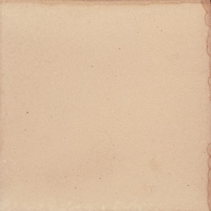 Agua De Nacar Deslavado beige - Talavera carreaux de céramique unicolore - 90 pièces