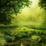 Écailles de poisson - Série de carreaux "Forest Glade" de la série "Eau