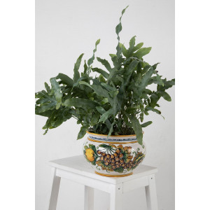Pot de fleurs en céramique italienne - Vaso di limoni e uva S