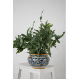 Pot de fleurs italien peint à la main - Vaso fiori di limoni S