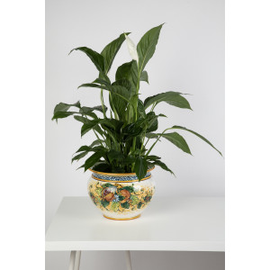 Vaso di melograni M - Pot de fleurs italien