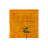 Mostaza Deslavado Orange – Carreaux Talavera Unis