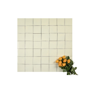 Blanco Mexicano Écru – Carreaux du Mexique