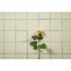 Blanco Mexicano Écru – Carreaux du Mexique